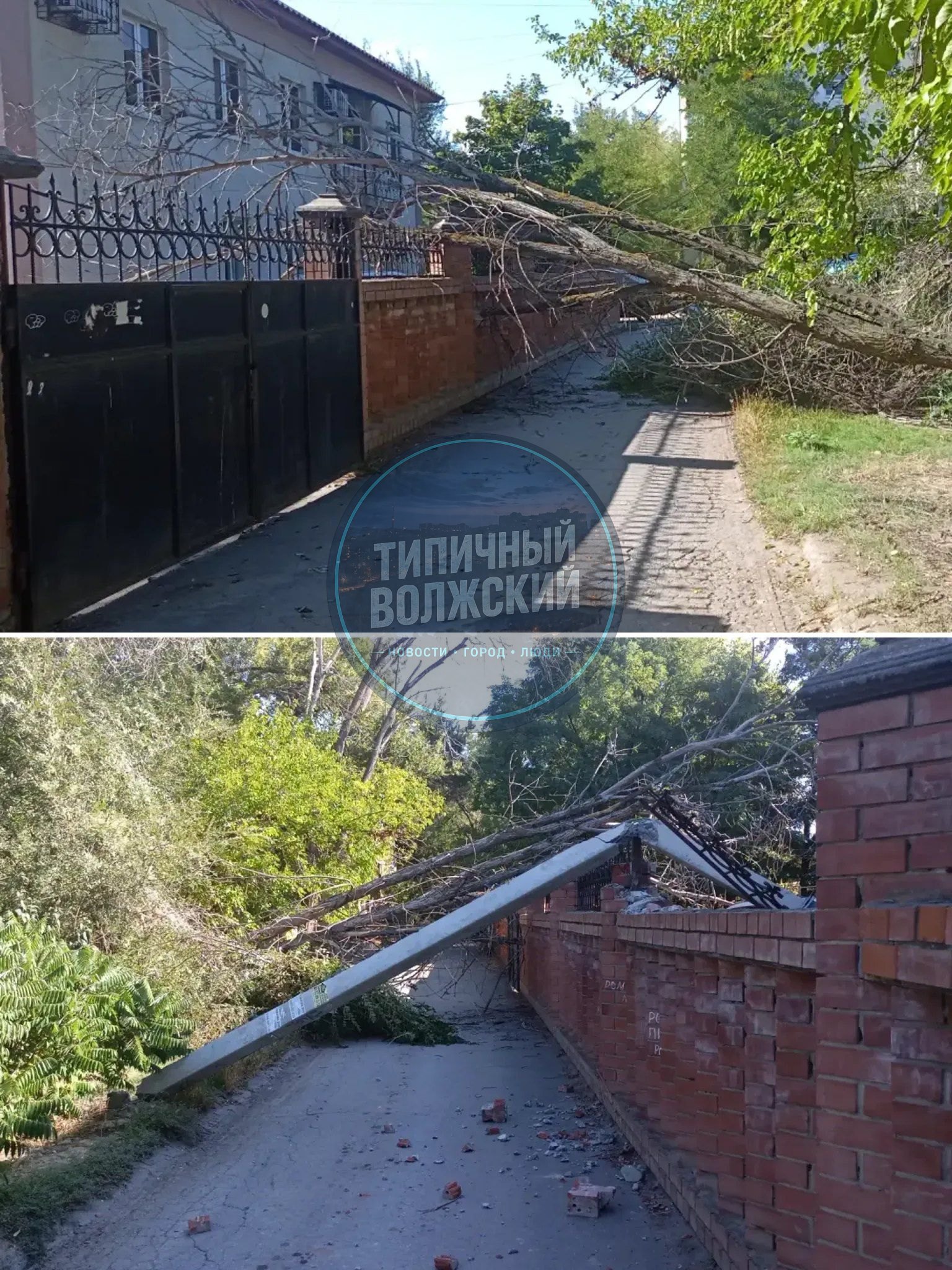 🌳 Дерево перекрыло проезд  на 19 Партсъезда