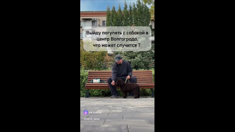 Данил Савченко из Волгограда, вышедший на прогулку с собакой, встретил дикую лису в центре города! 😬