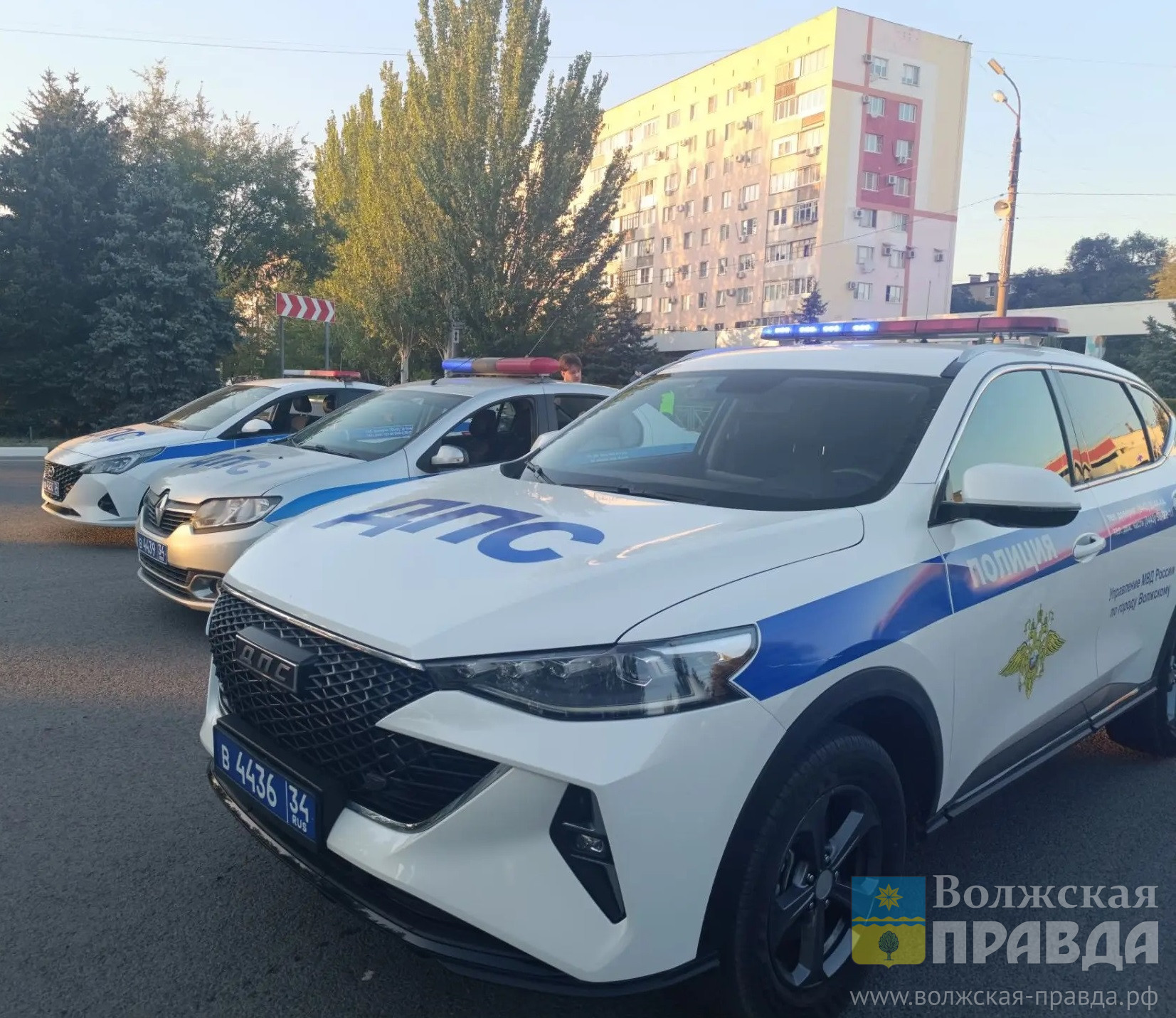 Акцент на пьяных и бесправных: Волжский охватил суровый и масштабный рейд