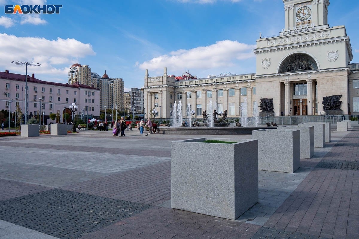 Пальмы перебрались на зимовку с Привокзальной площади в тёплое уютное местечко! 👏🏻😊