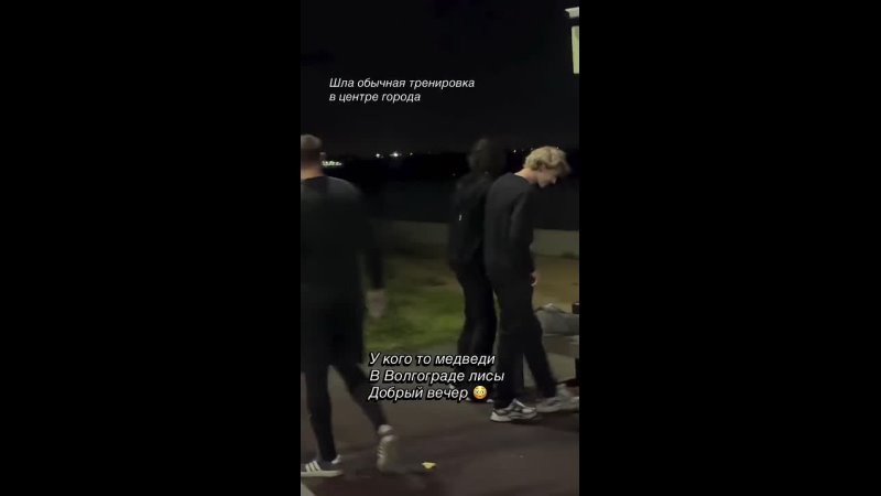 «Вот это встреча!»: в центре Волгограда заметили лису во время прогулки! 🦊