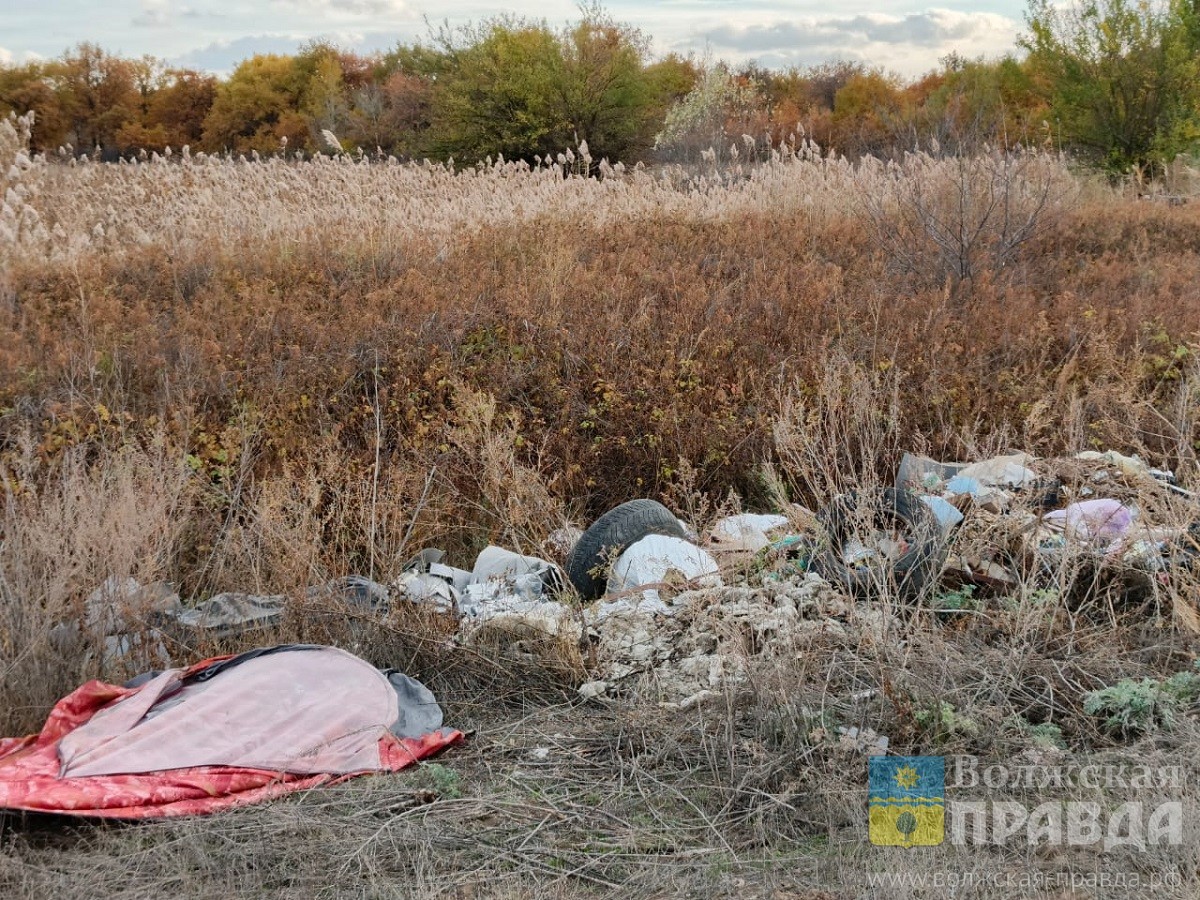 В Волгоградской области 1,2 млн руб пополнили бюджет за счёт штрафов эконарушителей