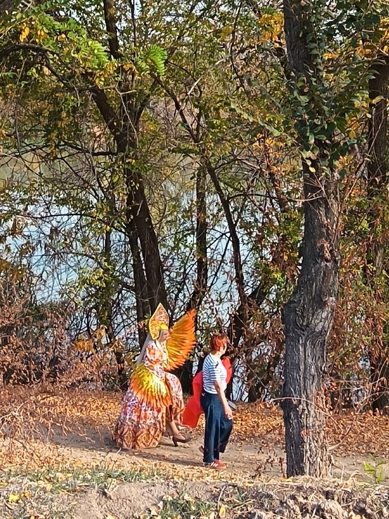 Тем временем в Волгоград пришла золотая осень. В прямом смысле! 👏🏻🤩🍁