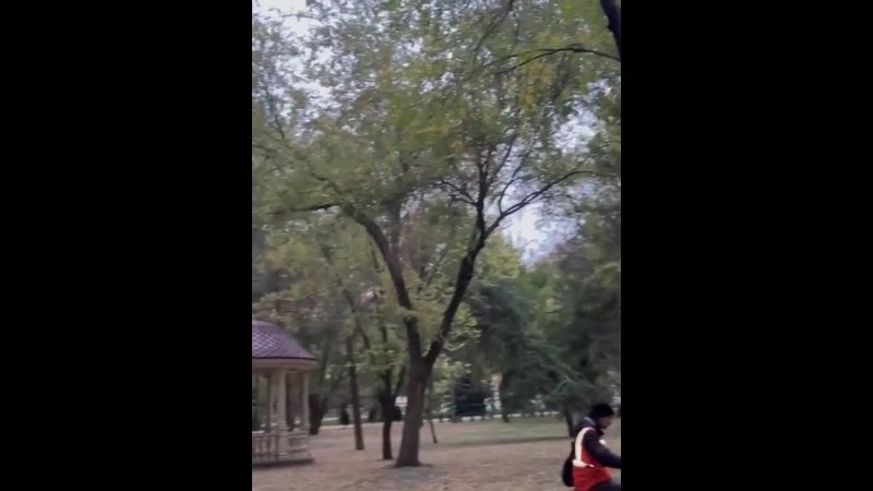 Осенняя атмосфера в Волгограде! 🍁🧡🍁