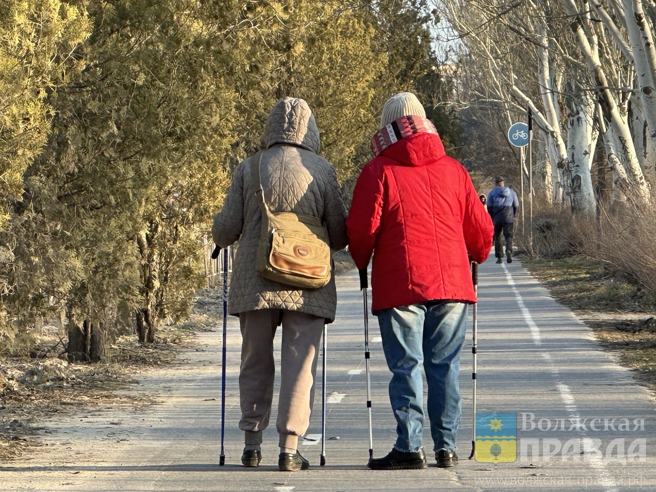 Витамины, сон и активности: жителям Волжского рассказали, как поднять иммунитет осенью 2026 года