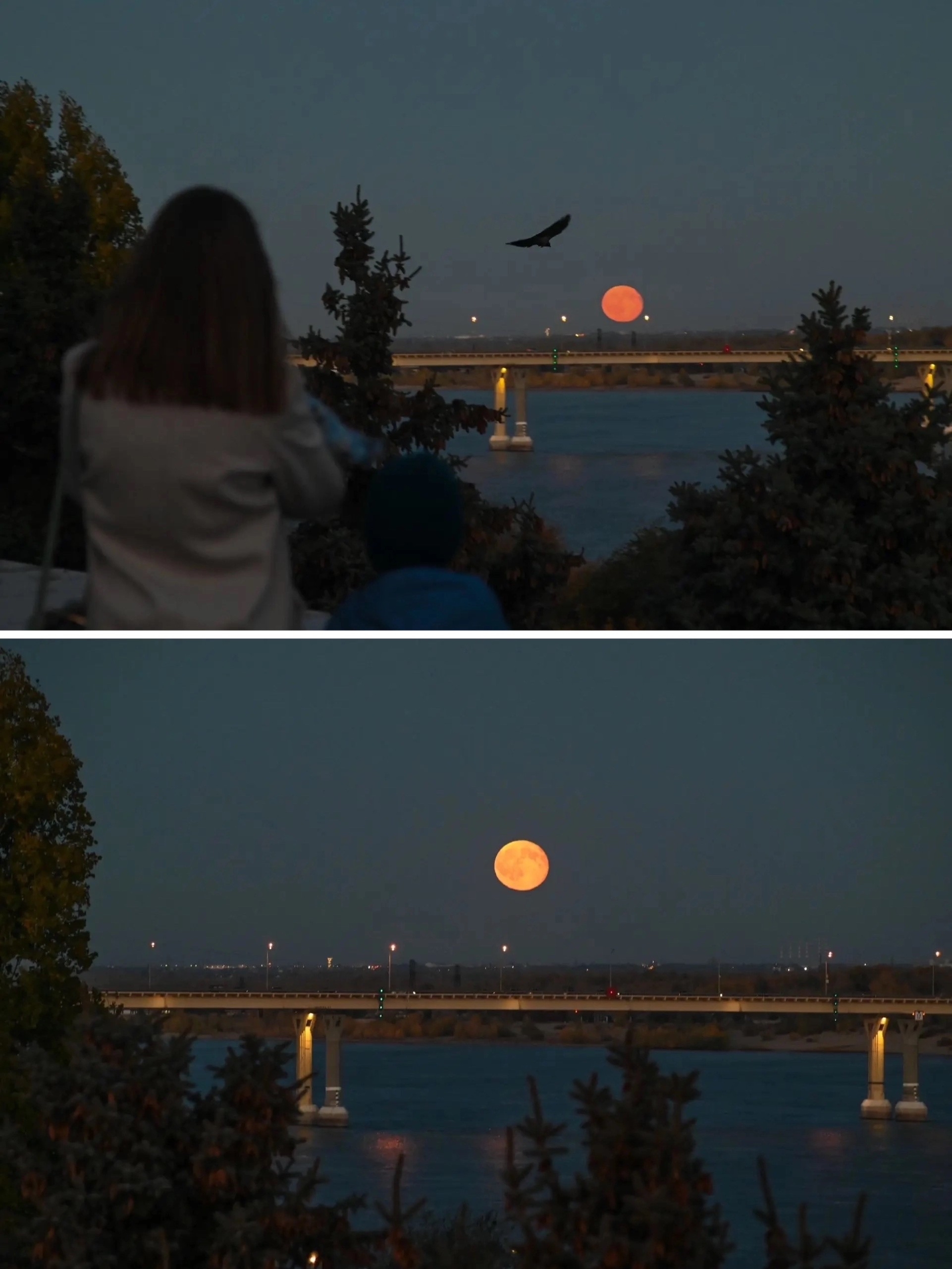 Невероятно красивое полнолуние в небе над Волгоградом! 👏😍