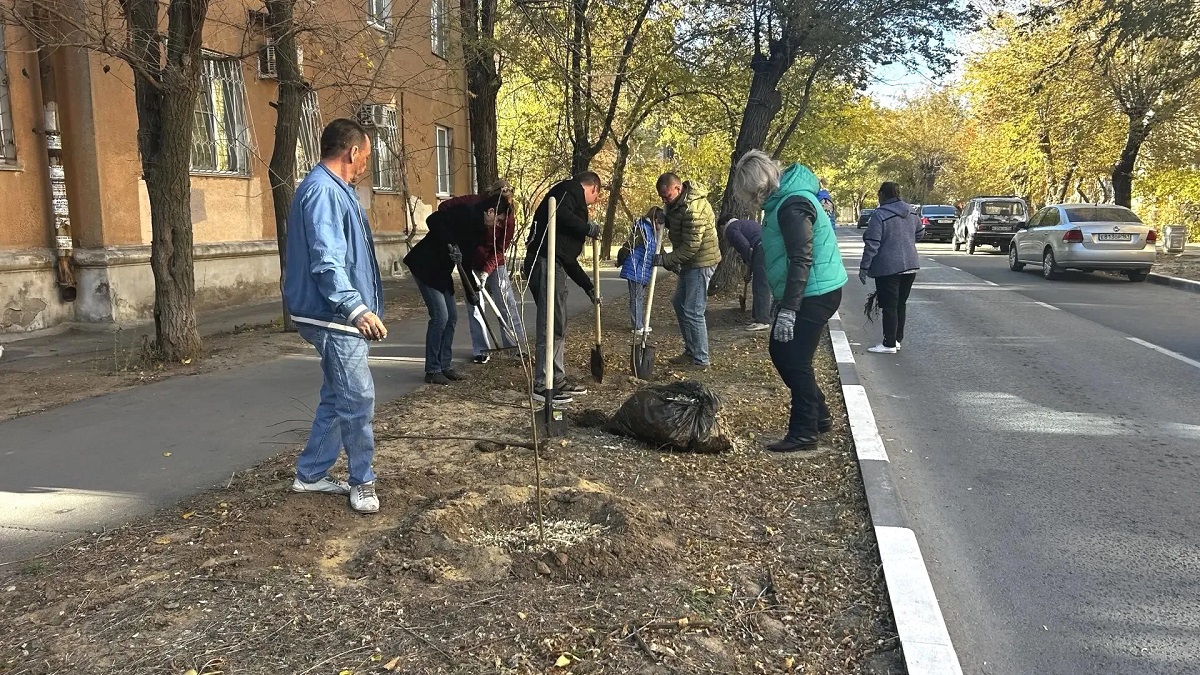 В Волжском стартовал месячник по благоустройству