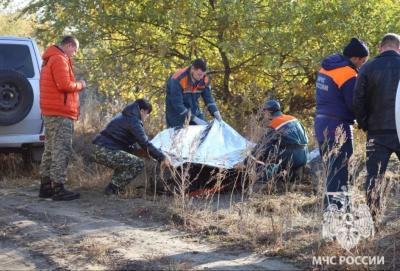 Под Волгоградом заблудившаяся пенсионерка провела в лесу двое суток