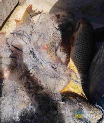 Больше 1000 сетей: в Волгоградской области очистили водоёмы от орудий лова