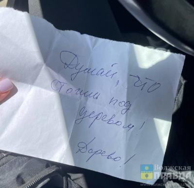Волжское УМВД запустило проверку по факту угроз хозяйке конюшни