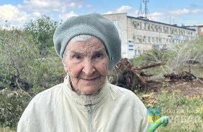 Купольные павильоны и много зелени: в Волжском обустраивают сквер Серебряных волонтёров