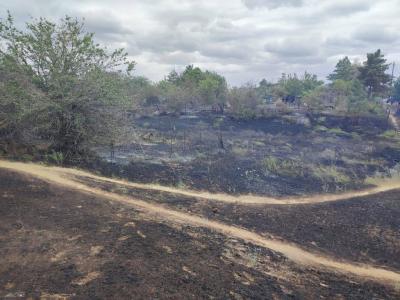 Сгорели постройки: на волгоградском острове во время шторма вспыхнули СНТ