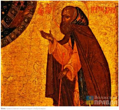 Чеснок, папоротник, шиповник: чем наши предки защищали себя от змей 12 июня