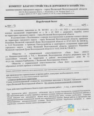 101 снесут и 235 обрежут: мэрия Волжского объявила войну сухостою и болезням