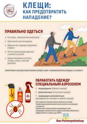 В Волгоградской области зарегистрировано уже 120 укушенных клещами жителей