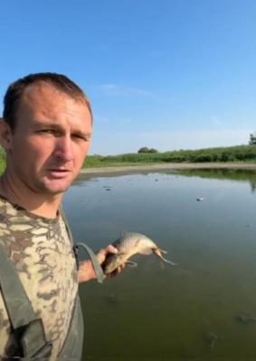 Специалист из Волгограда объяснил, почему сейчас можно вновь наблюдать замор рыбы
