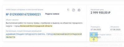 Покос, сгребание и вывоз: в Волжском за три миллиона избавятся от травы