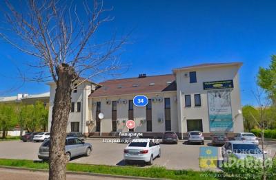 Волжане ужаснулись мёртвыми птицами и вспомнили мокрые парилки