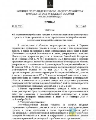 Облкомприроды ограничил посещение лесов рядом с Волжским до 9 октября