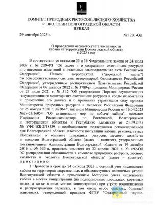В Волгоградской области кабанов снова ждёт осенняя перепись