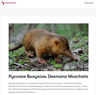 Новые норы древней выхухоли найдены в природном парке под Волгоградом