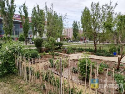 Нам пишут: жители Волжского обсуждают красивый садик, исписанную стену и листовки от УК