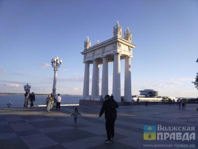 Лежала на асфальте и дёргалась: в Волгограде машина на медленной скорости проехала по собаке