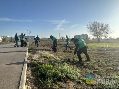 Плюс 5 тысяч деревьев и кустарников: в Волжском не останавливается высадка зеленых насаждений
