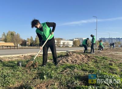 В Волжском в связи с тёплой погодой продлили месячник по благоустройству до 7 декабря