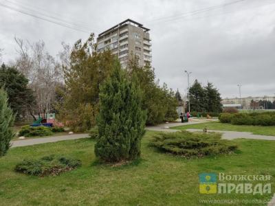 Много урн, есть маршрутки, война с самокатами и нет пробок: житель Екатеринбурга поражён Волжским 