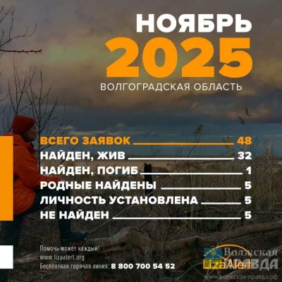 Один погиб, пятерых ищут: в ноябре в Волгоградской области нашли 43 из 48 пропавших людей