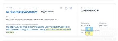 Отлов, возврат, эвтаназия: одно бесхозное животное обойдётся Волжскому в 15761 рубль